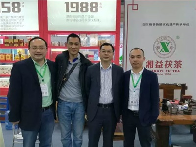 湘益茯茶6年耕耘，讓“金花”開遍巴蜀大地