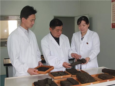 傳承茯茶非遺技藝、開拓創(chuàng)新引領行業(yè)發(fā)展