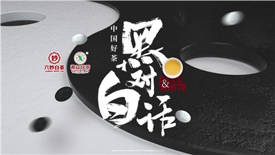 首屆黑白對(duì)話高峰論壇圓滿落幕！湘益茯茶備受關(guān)注！